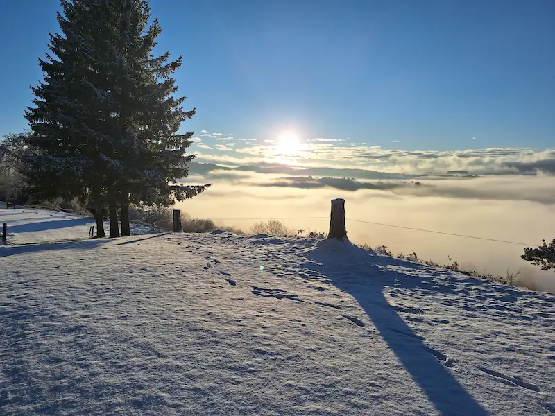 Chalet de loisir