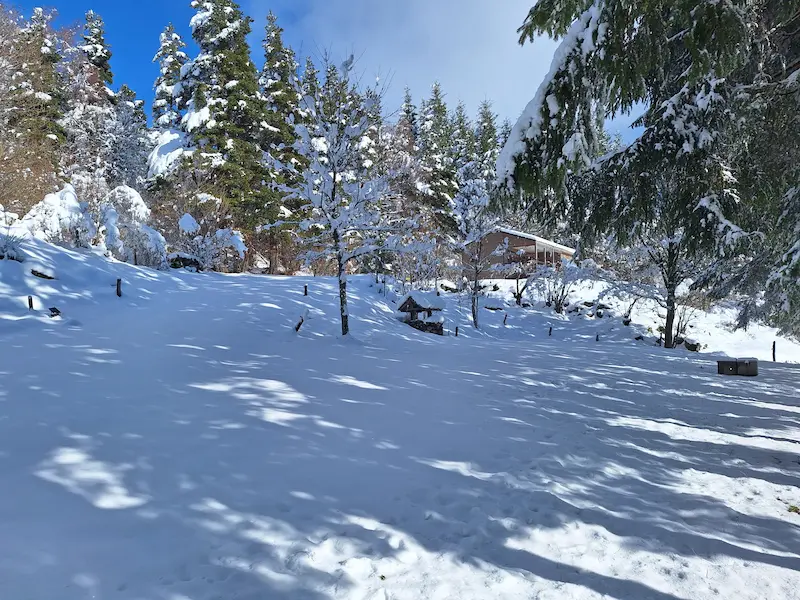 Vue d'hiver du chalet